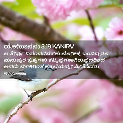 Picture 02 - ಯೋಹಾನನು 3:19 KANIRV - ಆ ತೀರ್ಪು - Bible Verse Picture