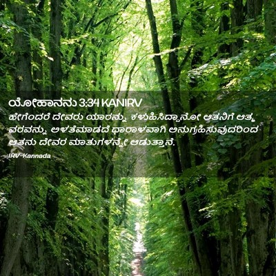 Picture 02 - ಯೋಹಾನನು 3:34 KANIRV - ಹೇಗೆಂದರೆ ದೇವರು - Bible Verse Picture