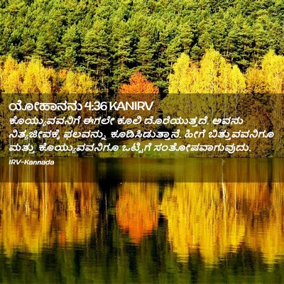 Picture 02 - ಯೋಹಾನನು 4:36 KANIRV - ಕೊಯ್ಯುವವನಿಗೆ ಈಗಲೇ - Bible Verse Picture