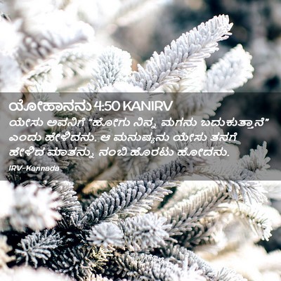 Picture 02 - ಯೋಹಾನನು 4:50 KANIRV - ಯೇಸು ಅವನಿಗೆ “ಹೋಗು - Bible Verse Picture