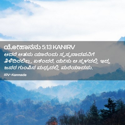 Picture 02 - ಯೋಹಾನನು 5:13 KANIRV - ಆದರೆ ಆತನು ಯಾರೆಂದು - Bible Verse Picture