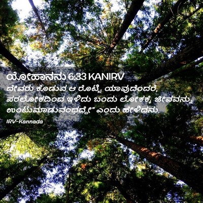 Picture 02 - ಯೋಹಾನನು 6:33 KANIRV - ದೇವರು ಕೊಡುವ ಆ - Bible Verse Picture