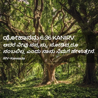 Picture 02 - ಯೋಹಾನನು 6:36 KANIRV - ಆದರೆ ನೀವು - Bible Verse Picture