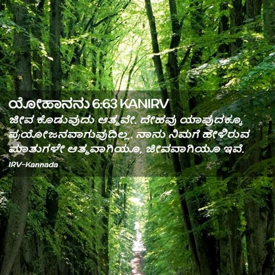 Picture 02 - ಯೋಹಾನನು 6:63 KANIRV - ಜೀವ ಕೊಡುವುದು - Bible Verse Picture