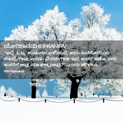 Picture 02 - ಯೋಹಾನನು 6:9 KANIRV - “ಇಲ್ಲಿ ಒಬ್ಬ - Bible Verse Picture