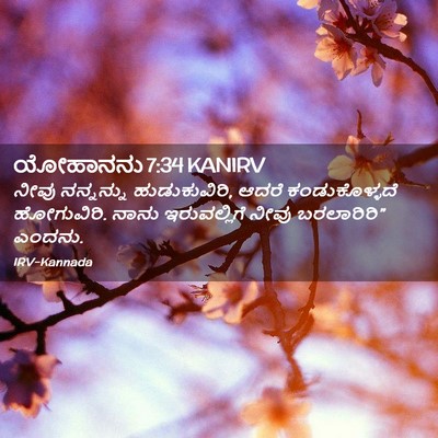 Picture 02 - ಯೋಹಾನನು 7:34 KANIRV - ನೀವು ನನ್ನನ್ನು - Bible Verse Picture