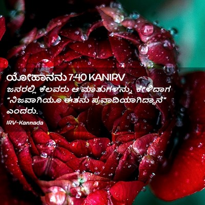 Picture 02 - ಯೋಹಾನನು 7:40 KANIRV - ಜನರಲ್ಲಿ ಕೆಲವರು ಆ - Bible Verse Picture
