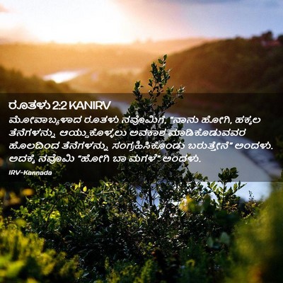Picture 02 - ರೂತಳು 2:2 KANIRV - ಮೋವಾಬ್ಯಳಾದ ರೂತಳು - Bible Verse Picture