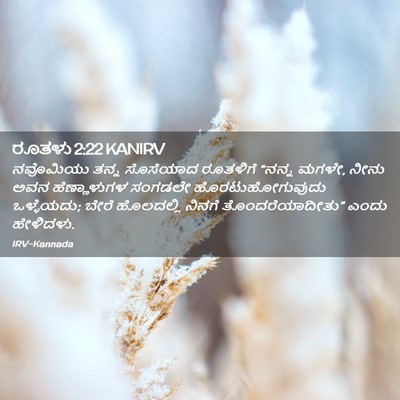 Picture 02 - ರೂತಳು 2:22 KANIRV - ನವೊಮಿಯು ತನ್ನ - Bible Verse Picture