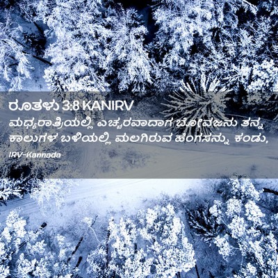 Picture 02 - ರೂತಳು 3:8 KANIRV - ಮಧ್ಯರಾತ್ರಿಯಲ್ಲಿ - Bible Verse Picture