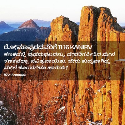 Picture 02 - ರೋಮಾಪುರದವರಿಗೆ 11:16 KANIRV - ಕಣಕದಲ್ಲಿ - Bible Verse Picture