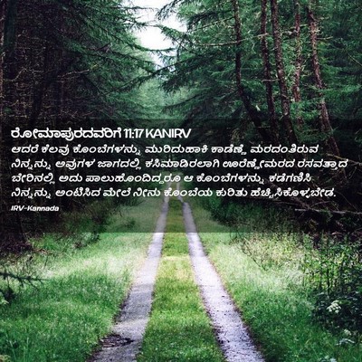 Picture 02 - ರೋಮಾಪುರದವರಿಗೆ 11:17 KANIRV - ಆದರೆ ಕೆಲವು - Bible Verse Picture