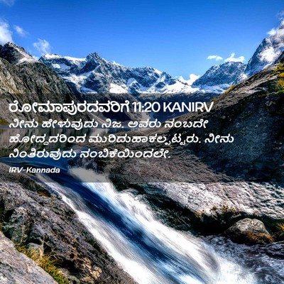Picture 02 - ರೋಮಾಪುರದವರಿಗೆ 11:20 KANIRV - ನೀನು ಹೇಳುವುದು ನಿಜ. - Bible Verse Picture