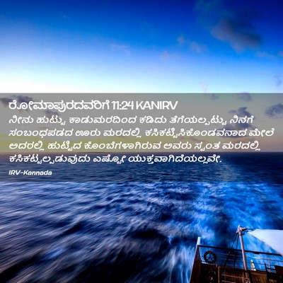 Picture 02 - ರೋಮಾಪುರದವರಿಗೆ 11:24 KANIRV - ನೀನು ಹುಟ್ಟು - Bible Verse Picture