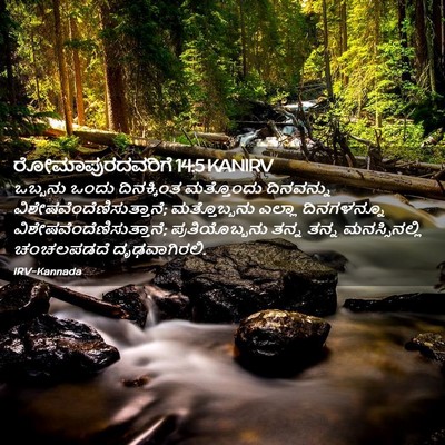 Picture 02 - ರೋಮಾಪುರದವರಿಗೆ 14:5 KANIRV - ಒಬ್ಬನು ಒಂದು - Bible Verse Picture