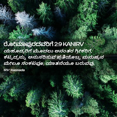 Picture 02 - ರೋಮಾಪುರದವರಿಗೆ 2:9 KANIRV - ಯೆಹೂದ್ಯರಿಗೆ ಮೊದಲು - Bible Verse Picture