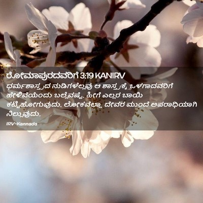 Picture 02 - ರೋಮಾಪುರದವರಿಗೆ 3:19 KANIRV - ಧರ್ಮಶಾಸ್ತ್ರದ - Bible Verse Picture