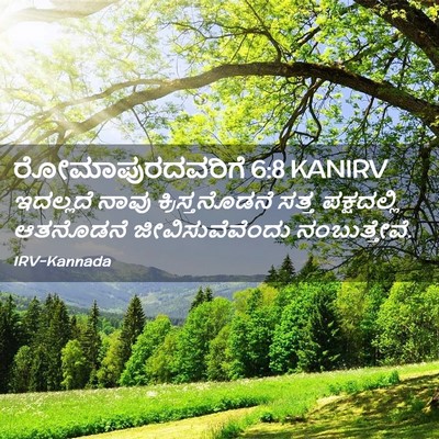 Picture 02 - ರೋಮಾಪುರದವರಿಗೆ 6:8 KANIRV - ಇದಲ್ಲದೆ ನಾವು - Bible Verse Picture