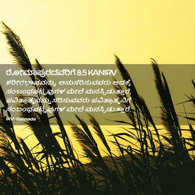 Picture 02 - ರೋಮಾಪುರದವರಿಗೆ 8:5 KANIRV - ಶರೀರಭಾವವನ್ನು - Bible Verse Picture