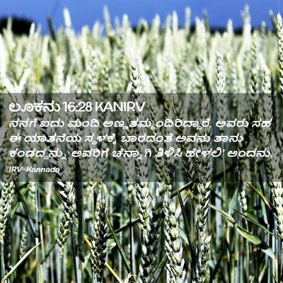 Picture 02 - ಲೂಕನು 16:28 KANIRV - ನನಗೆ ಐದು ಮಂದಿ - Bible Verse Picture
