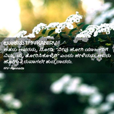 Picture 02 - ಲೂಕನು 17:14 KANIRV - ಆತನು ಅವರನ್ನು ನೋಡಿ, - Bible Verse Picture
