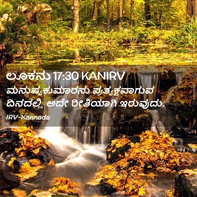 Picture 02 - ಲೂಕನು 17:30 KANIRV - ಮನುಷ್ಯಕುಮಾರನು - Bible Verse Picture