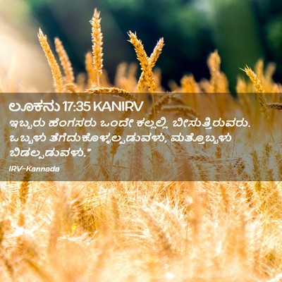 Picture 02 - ಲೂಕನು 17:35 KANIRV - ಇಬ್ಬರು ಹೆಂಗಸರು - Bible Verse Picture