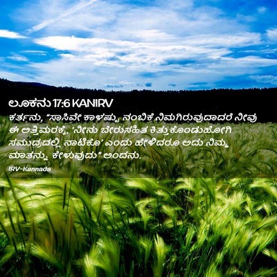 Picture 02 - ಲೂಕನು 17:6 KANIRV - ಕರ್ತನು, “ಸಾಸಿವೇ - Bible Verse Picture