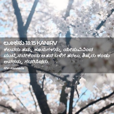 Picture 02 - ಲೂಕನು 18:15 KANIRV - ಕೆಲವರು ತಮ್ಮ - Bible Verse Picture