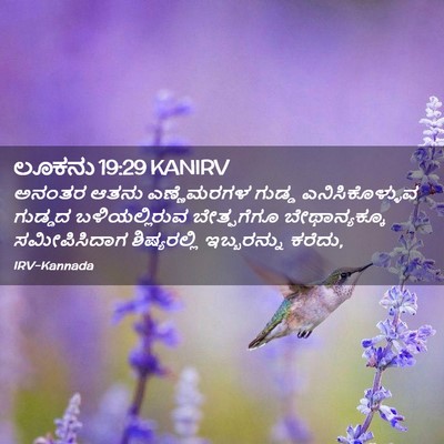 Picture 02 - ಲೂಕನು 19:29 KANIRV - ಅನಂತರ ಆತನು - Bible Verse Picture