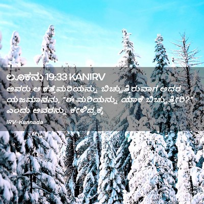 Picture 02 - ಲೂಕನು 19:33 KANIRV - ಅವರು ಆ - Bible Verse Picture