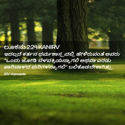 Picture 02 - ಲೂಕನು 2:24 KANIRV - ಇದಲ್ಲದೆ ಕರ್ತನ - Bible Verse Picture
