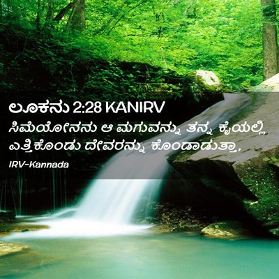 Picture 02 - ಲೂಕನು 2:28 KANIRV - ಸಿಮೆಯೋನನು ಆ - Bible Verse Picture