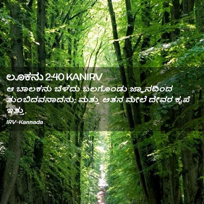 Picture 02 - ಲೂಕನು 2:40 KANIRV - ಆ ಬಾಲಕನು ಬೆಳೆದು - Bible Verse Picture