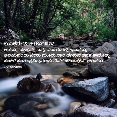 Picture 02 - ಲೂಕನು 22:34 KANIRV - ಆತನು, “ಪೇತ್ರನೇ, - Bible Verse Picture