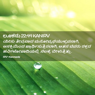 Picture 02 - ಲೂಕನು 22:44 KANIRV - ಯೇಸು ತೀವ್ರವಾದ - Bible Verse Picture