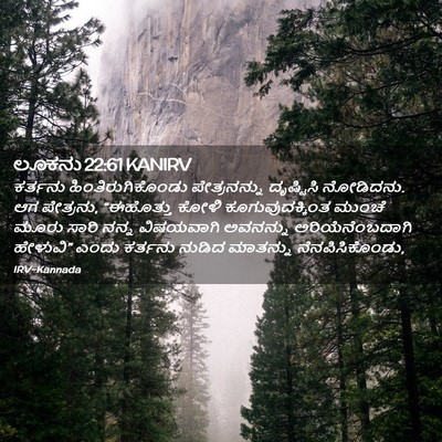 Picture 02 - ಲೂಕನು 22:61 KANIRV - ಕರ್ತನು - Bible Verse Picture