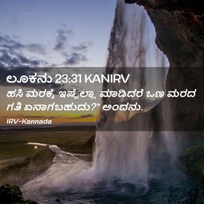 Picture 02 - ಲೂಕನು 23:31 KANIRV - ಹಸಿ ಮರಕ್ಕೆ - Bible Verse Picture