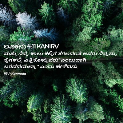 Picture 02 - ಲೂಕನು 4:11 KANIRV - ಮತ್ತು ನಿನ್ನ ಕಾಲು - Bible Verse Picture