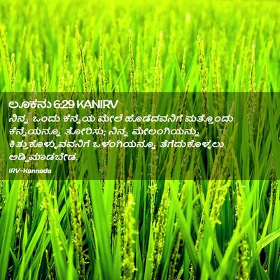 Picture 02 - ಲೂಕನು 6:29 KANIRV - ನಿನ್ನ ಒಂದು - Bible Verse Picture