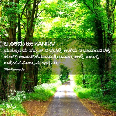 Picture 02 - ಲೂಕನು 6:6 KANIRV - ಮತ್ತೊಂದು ಸಬ್ಬತ್ - Bible Verse Picture