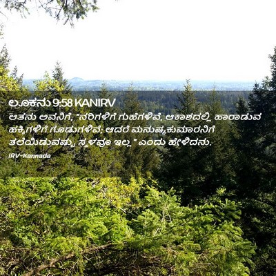 Picture 02 - ಲೂಕನು 9:58 KANIRV - ಆತನು ಅವನಿಗೆ, - Bible Verse Picture