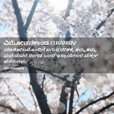 Picture 02 - ವಿಮೋಚನಕಾಂಡ 1:1 KANIRV - ಯಾಕೋಬನೊಂದಿಗೆ - Bible Verse Picture