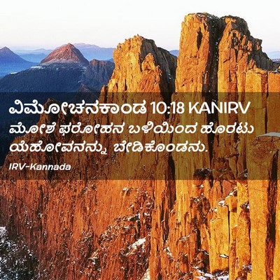 Picture 02 - ವಿಮೋಚನಕಾಂಡ 10:18 KANIRV - ಮೋಶೆ ಫರೋಹನ - Bible Verse Picture