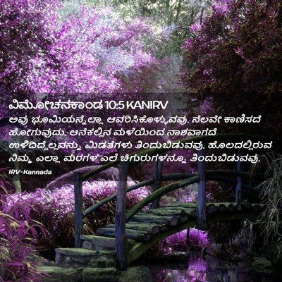 Picture 02 - ವಿಮೋಚನಕಾಂಡ 10:5 KANIRV - ಅವು ಭೂಮಿಯನ್ನೆಲ್ಲಾ - Bible Verse Picture