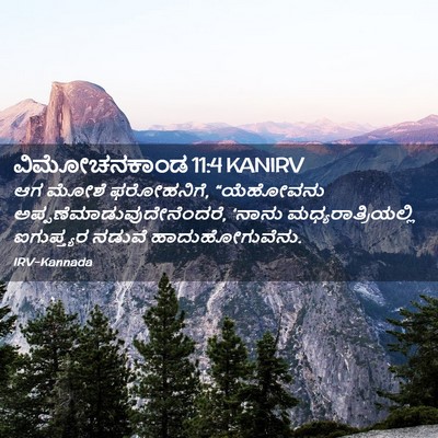 Picture 02 - ವಿಮೋಚನಕಾಂಡ 11:4 KANIRV - ಆಗ ಮೋಶೆ ಫರೋಹನಿಗೆ, - Bible Verse Picture