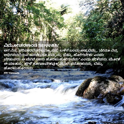 Picture 02 - ವಿಮೋಚನಕಾಂಡ 11:8 KANIRV - ಆಗ ನಿನ್ನ - Bible Verse Picture