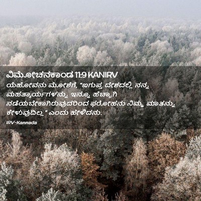 Picture 02 - ವಿಮೋಚನಕಾಂಡ 11:9 KANIRV - ಯೆಹೋವನು ಮೋಶೆಗೆ, - Bible Verse Picture
