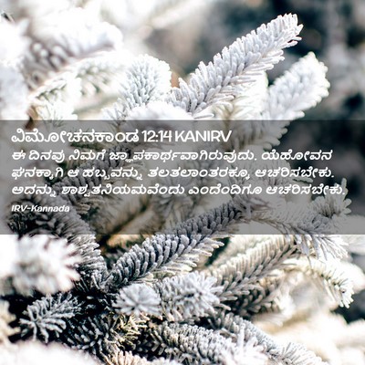 Picture 02 - ವಿಮೋಚನಕಾಂಡ 12:14 KANIRV - ಈ ದಿನವು ನಿಮಗೆ - Bible Verse Picture