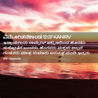 Picture 02 - ವಿಮೋಚನಕಾಂಡ 12:37 KANIRV - ಇಸ್ರಾಯೇಲರು - Bible Verse Picture